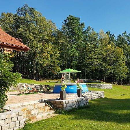 Sarna Karkonosze Appartement Bukowiec  Buitenkant foto