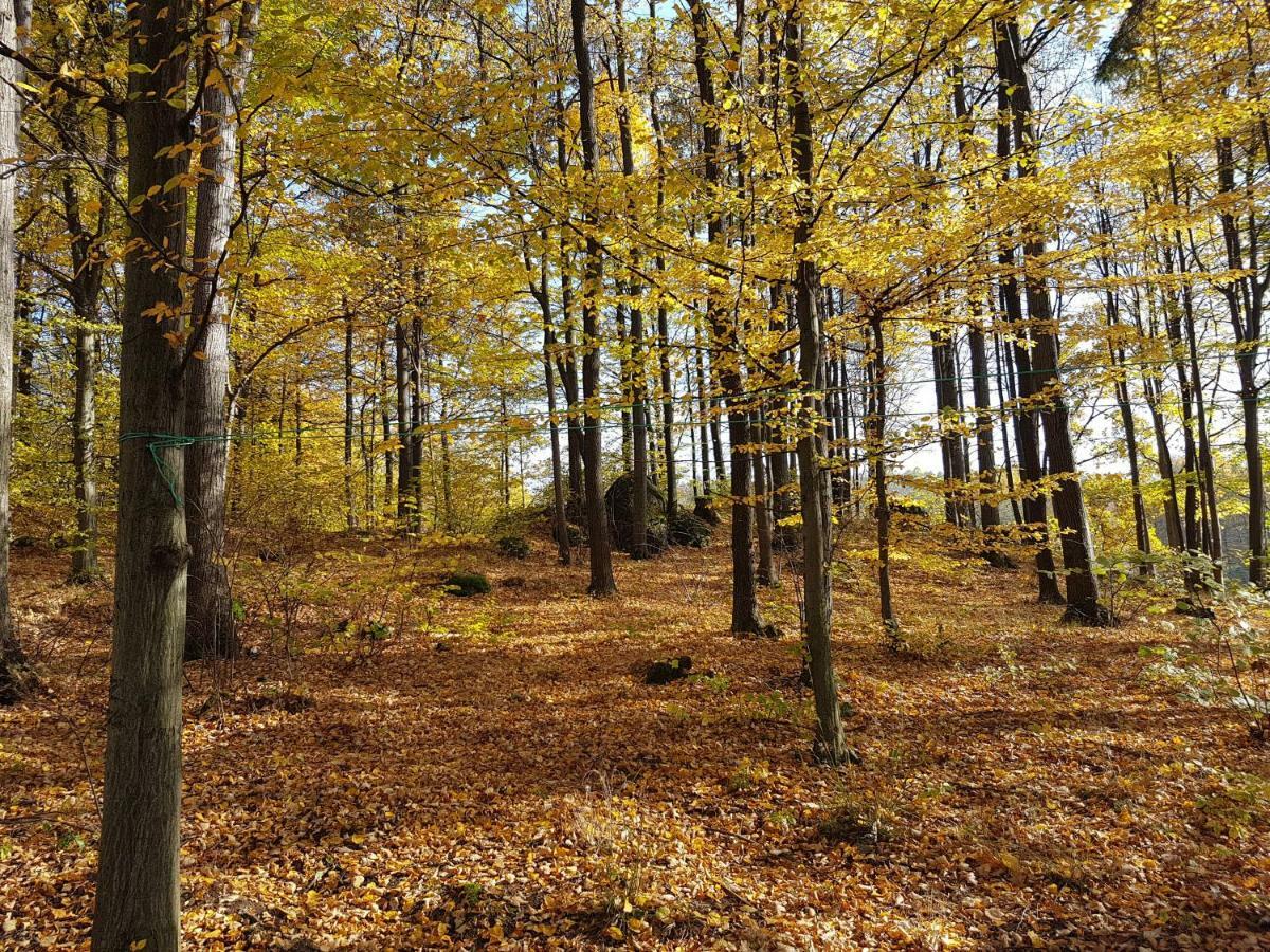 Sarna Karkonosze Appartement Bukowiec  Buitenkant foto