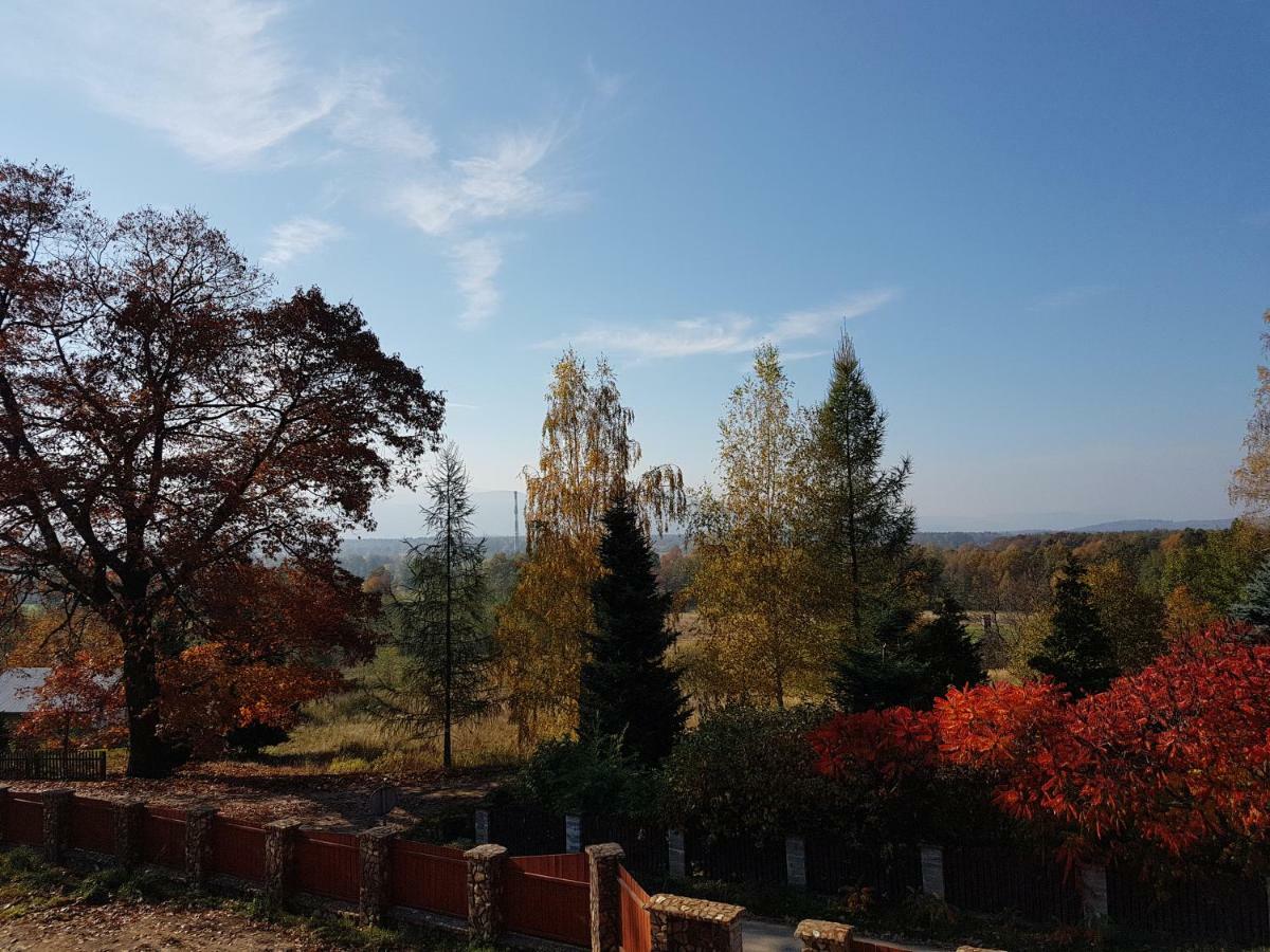 Sarna Karkonosze Appartement Bukowiec  Buitenkant foto