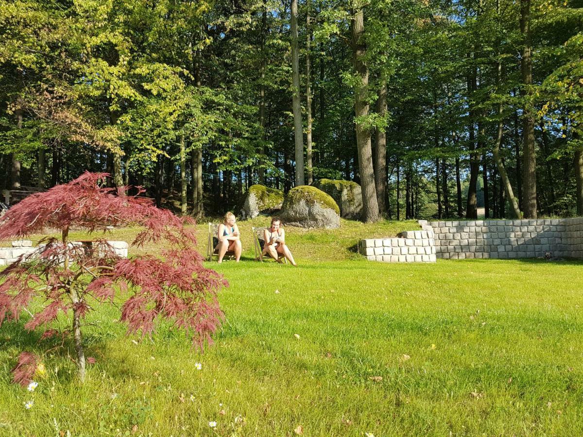 Sarna Karkonosze Appartement Bukowiec  Buitenkant foto